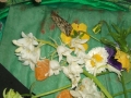 DSCF0308