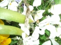 DSCF0315