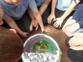 SAM_1298