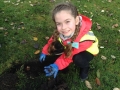 Planting-bulbs-1