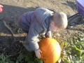 SAM_4962