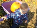 SAM_4980