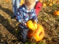 SAM_4981