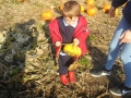 SAM_4982